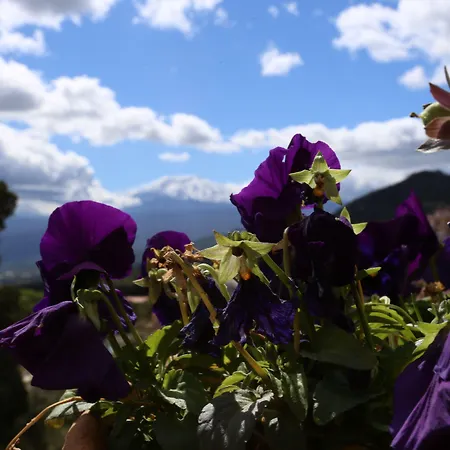 Casa Cuseni, Residenza D'artista, Museo E Giardino Storico 4* Taormina
